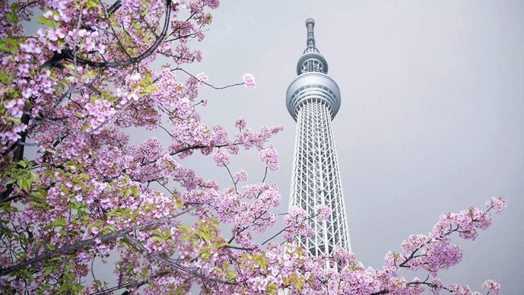 Башня Tokyo Skytree