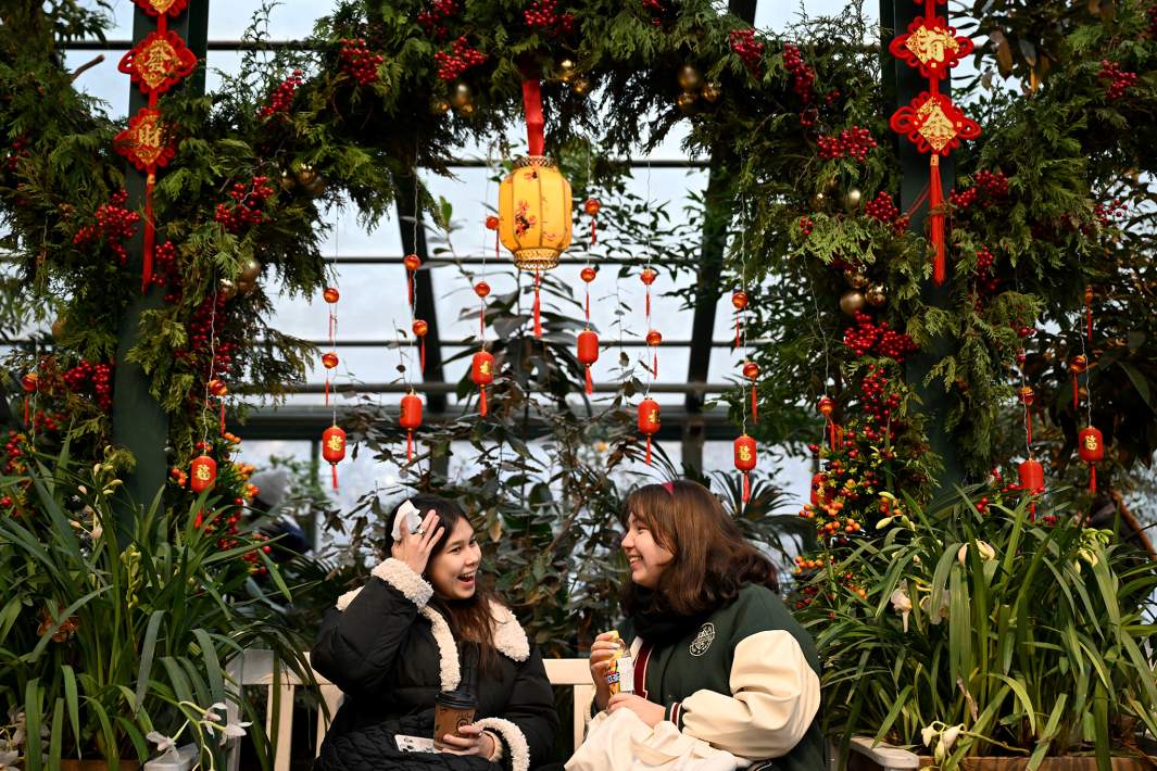 Ботанический сад МГУ «Аптекарский огород», украшенный в рамках празднования китайского Нового года