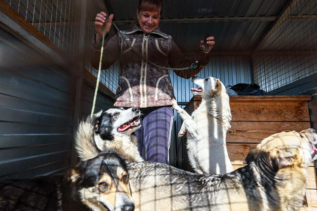 Местная жительница Ирина Горланова с собаками в муниципальном приюте, куда из-за паводка в Кургане эвакуируют животных