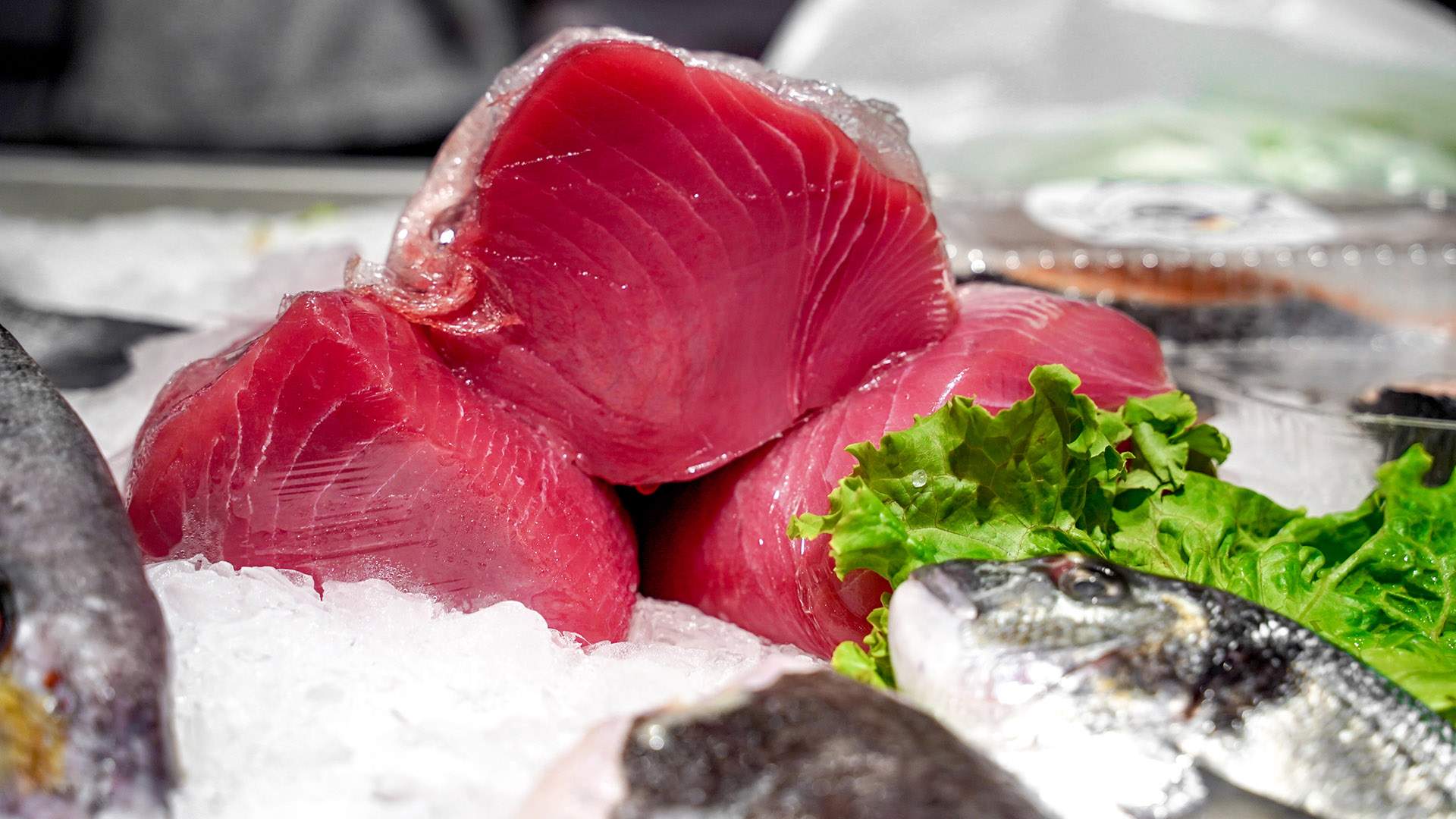 A Slice of Tuna