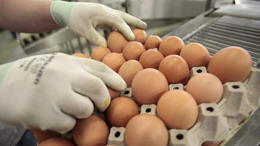 Минэкономразвития против ужесточения наказаний за продуктовый брак
