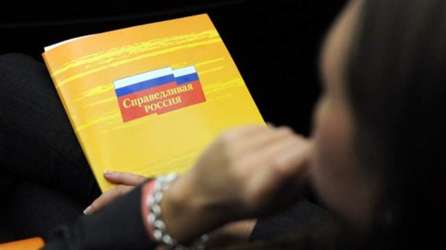 «Справедливая Россия» хочет поделиться на платформы