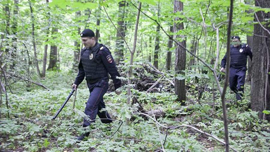 В лесу предлагают ввести паспортный контроль
