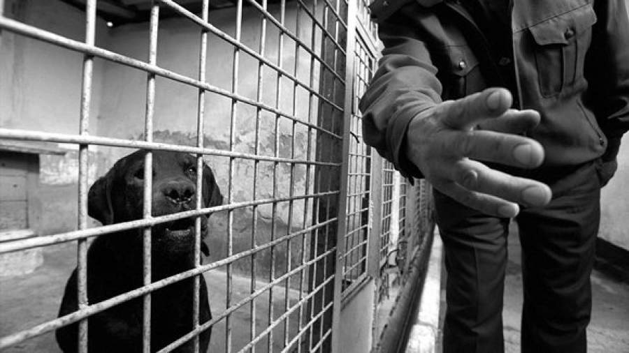 Правозащитники ищут избитых женщин-заключенных