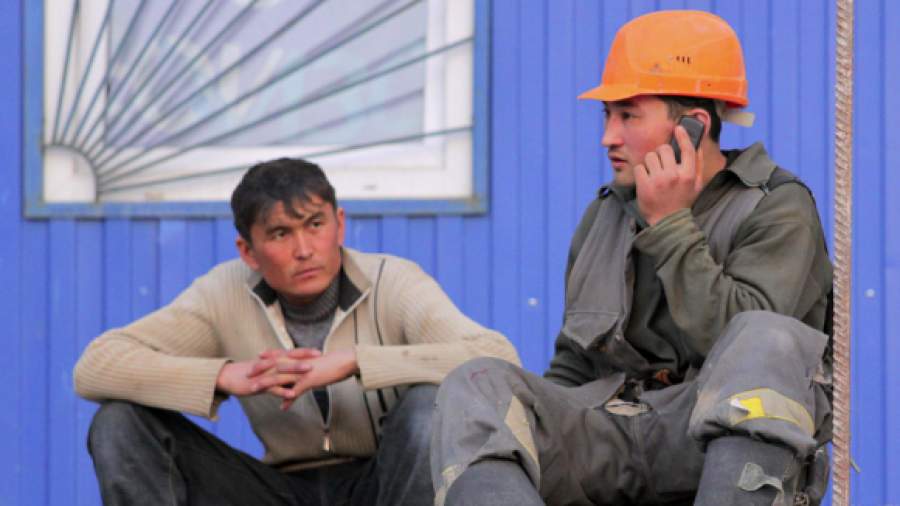 Самыми грамотными мигрантами стали украинцы и киргизы