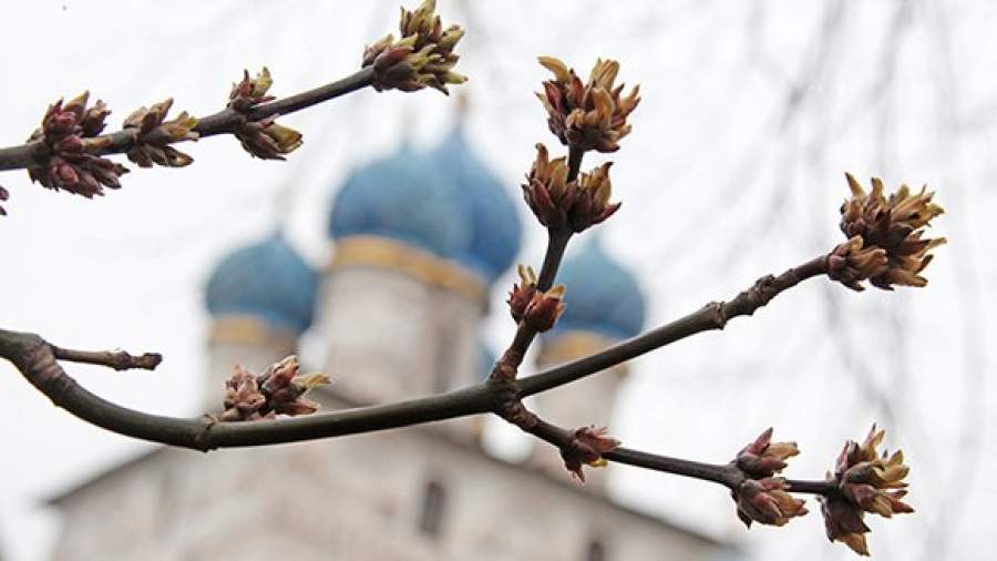 Община для наркомана