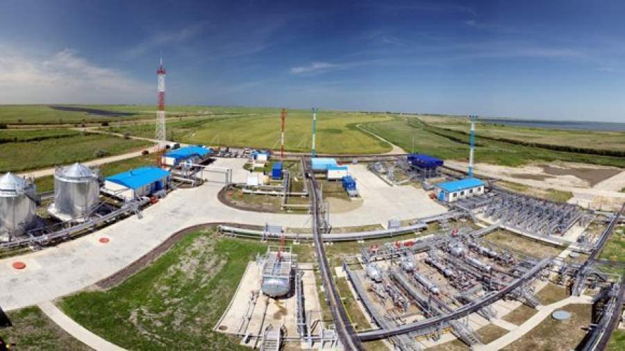 «Газпром» оценит состояние кабанов, ондатр и выдр