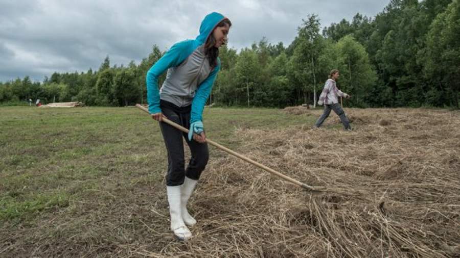 В Госдуме предлагают бесплатно раздать гражданам по гектару земли