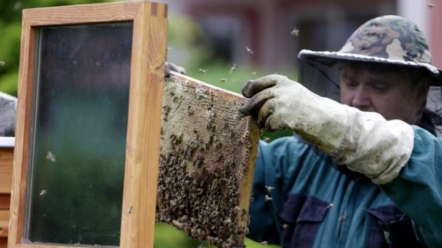Белякова О.В. Умные самоделки для пчеловодов: это просто!