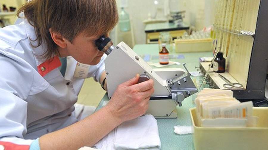 Ученые создали из морского огурца препарат, повышающий иммунитет