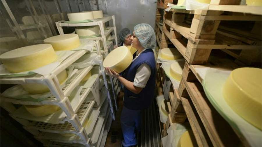 От продуктового эмбарго больше всего выиграл адыгейский сыр