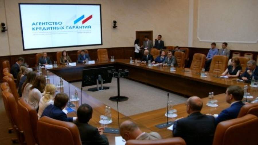 Госдума засомневалась в эффективности Агентства кредитных гарантий