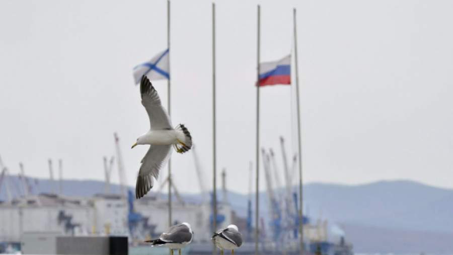Причины крушения «Дальнего Востока» ищут в Росрыболовстве