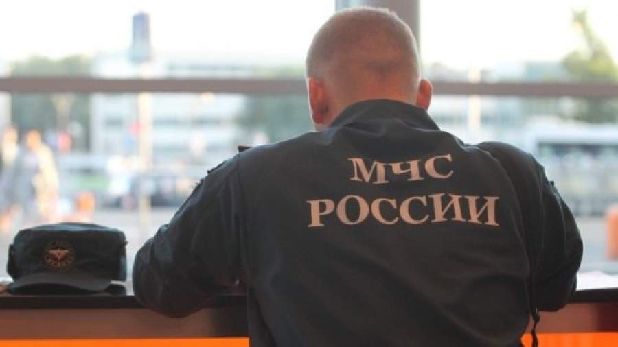 МЧС не просило сотовых операторов оповестить население Крымска