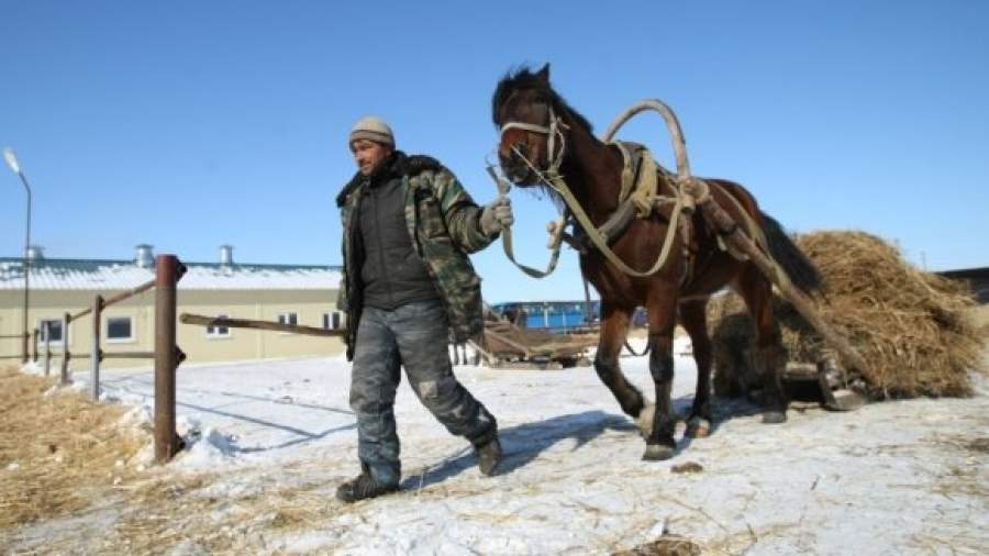 В Подмосковье создадут сеть городков для фермеров