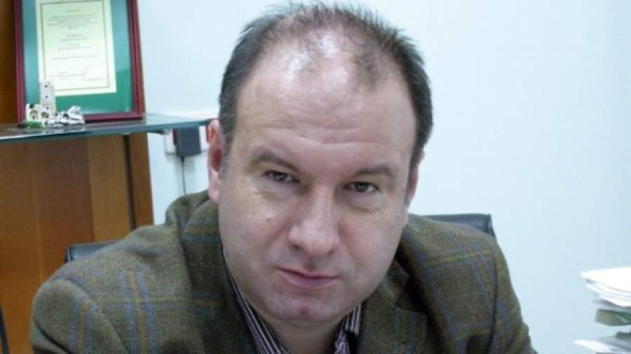 «О внеучебной деятельности Толоконниковой факультет узнавал из СМИ»