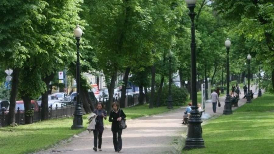 Мэрия пересчитает деревья в Москве