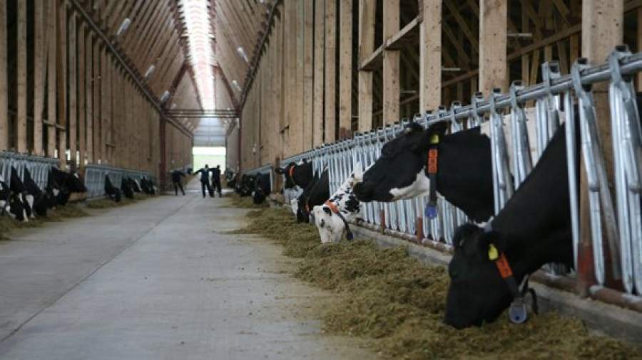 Россельхознадзор предлагает не регистрировать продукты с ГМО