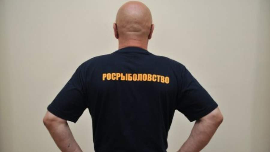 Чиновники Росрыболовства построили за 1 млрд рублей корабль-призрак