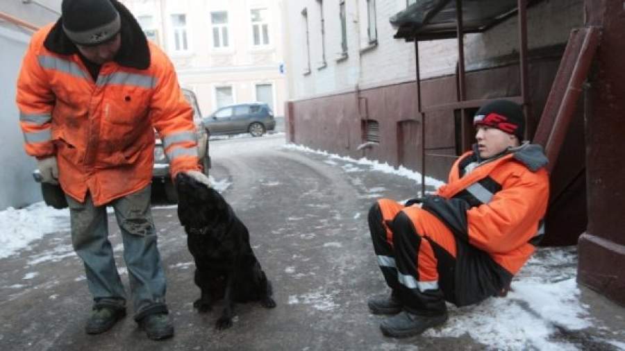 К коммунальным службам присосались однодневки