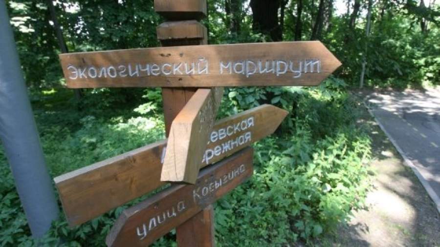 На Воробьевых горах появятся фонари, шезлонги и велопарковки