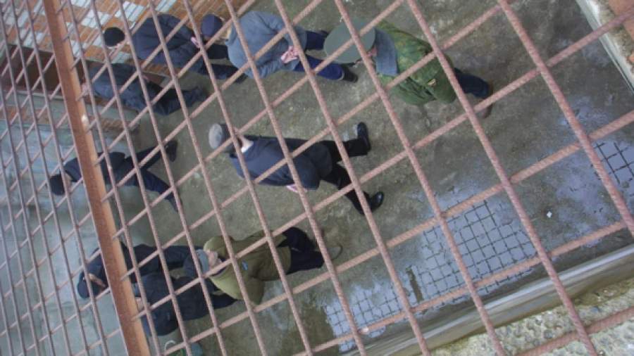 Участницы Pussy Riot могут выйти по новой амнистии