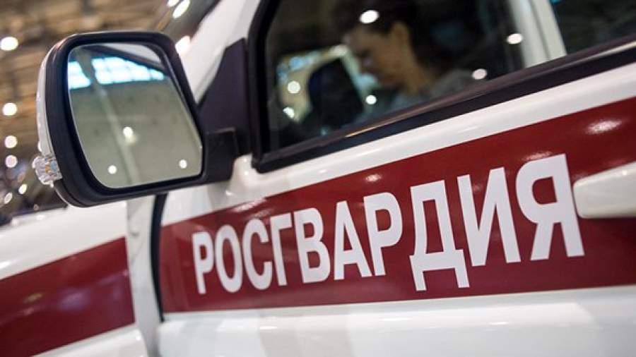 Росгвардия возьмет под охрану Эрмитаж