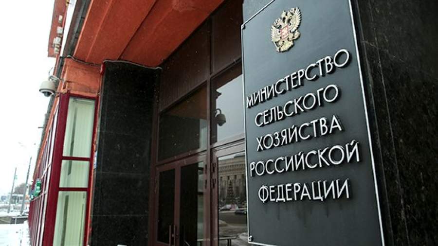 Минсельхоз делает ставку на экспорт