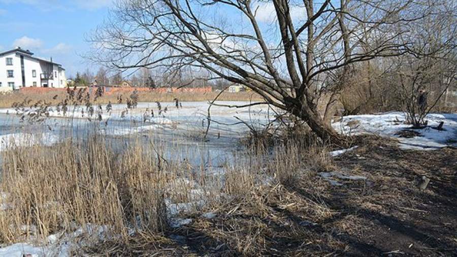 Старинный парк, созданный князем Юсуповым, застроят домами