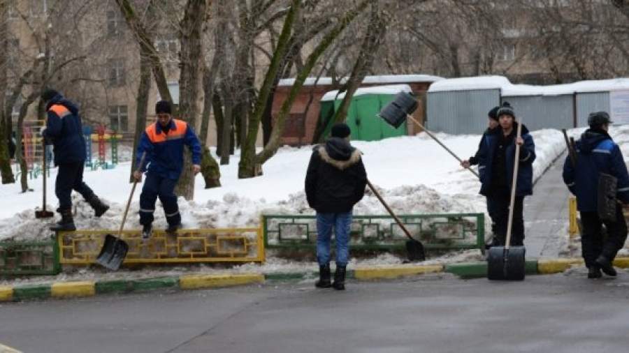 Дворников и сантехников обяжут проходить медосмотр