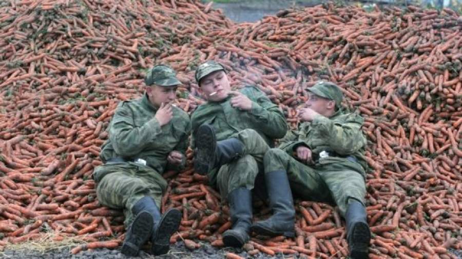Фруктам и овощам дали зеленый коридор