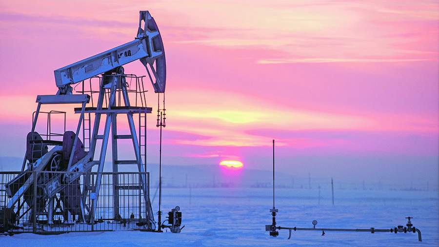Цены на нефть стабилизируются до 2020 г. — специалисты РАН