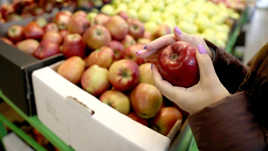 Плодный график: почему Россия продолжает импортировать яблоки
