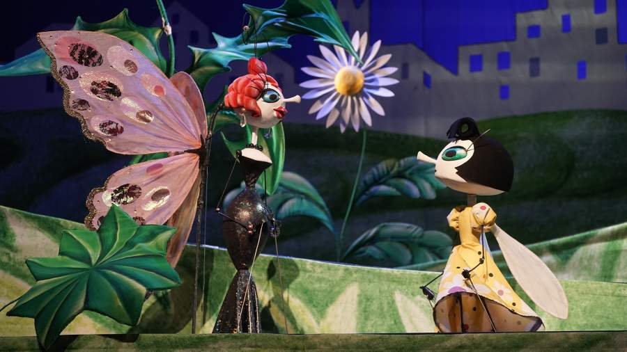 Porno buvi onal video