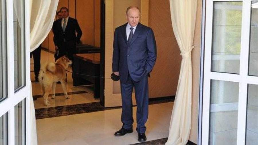 Власти Японии приготовили для Путина подарок