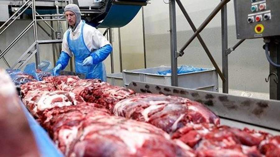 СМИ: Украина стала главным импортером российского пива и мяса
