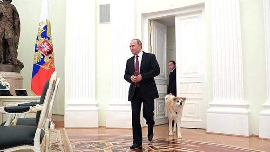 На интервью с японскими журналистами Путина сопровождала собака Юмэ