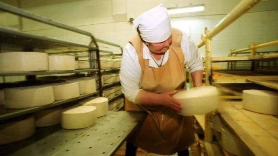 Роспотребнадзор раскритиковал качество украинских сыров