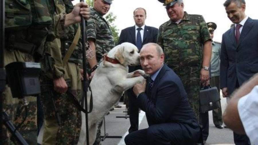 Путин на Новый год подарил 11-летней Ане из Курска щенка лабрадора