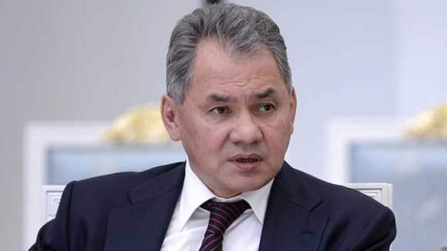 Шойгу заявил о создании в России сотен центров подготовки юнармейцев