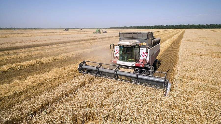 Рекордный урожай пшеницы в Российской Федерации стал угрозой для США