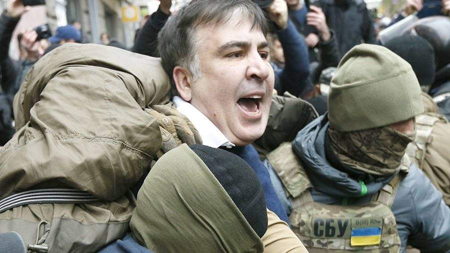 Мать Саакашвили высказалась о задержании своего сына
