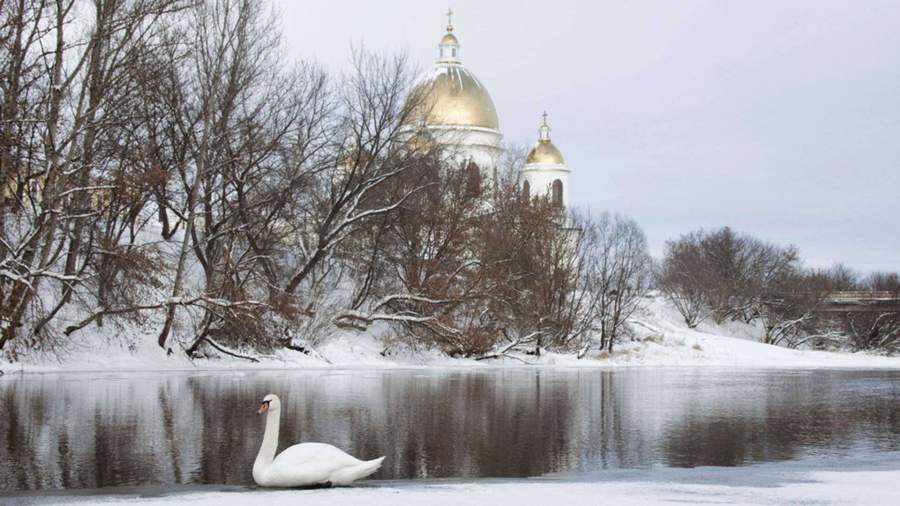 Река цна моршанск красивые фото