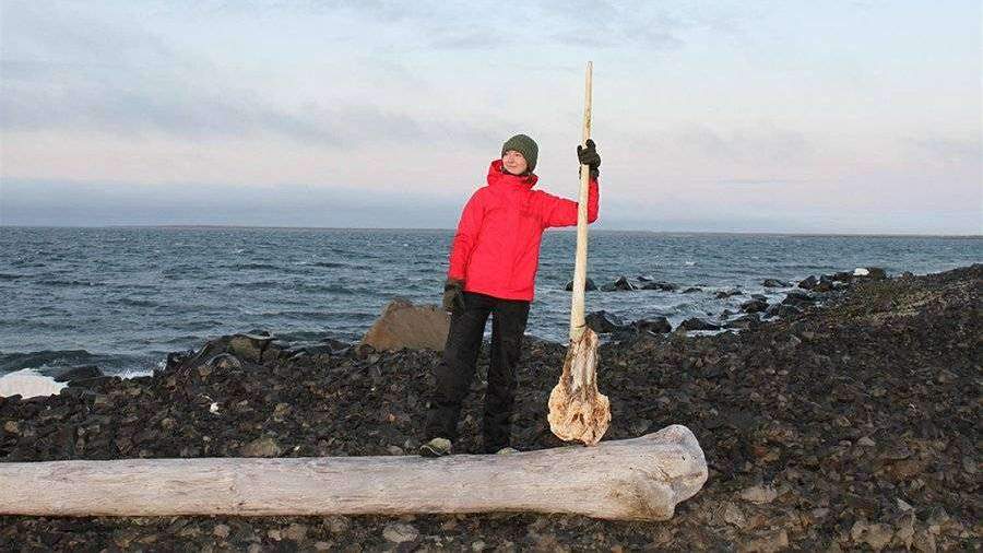 В России обнаружили череп арктического единорога
