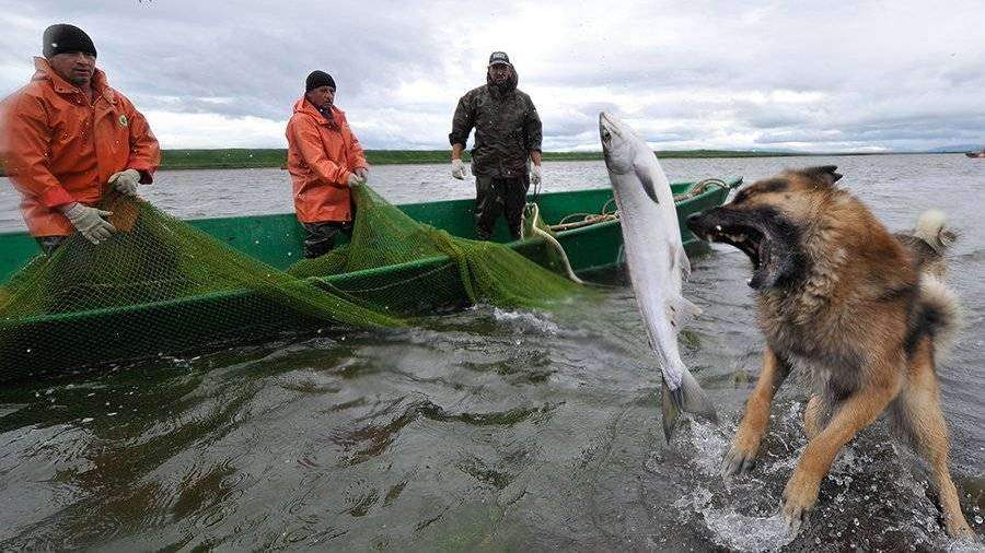 Рыбная ловля на Камчатке