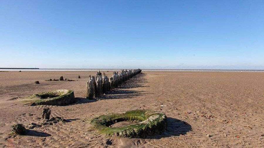 Азовское море впервые за десятки лет отступило от берега на 100 м
