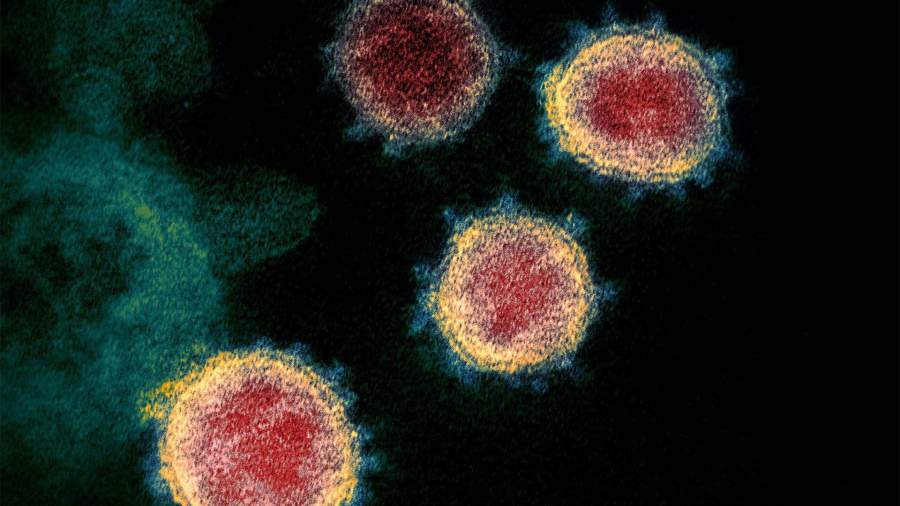 Врач рассказал о «суперспособности» коронавируса
