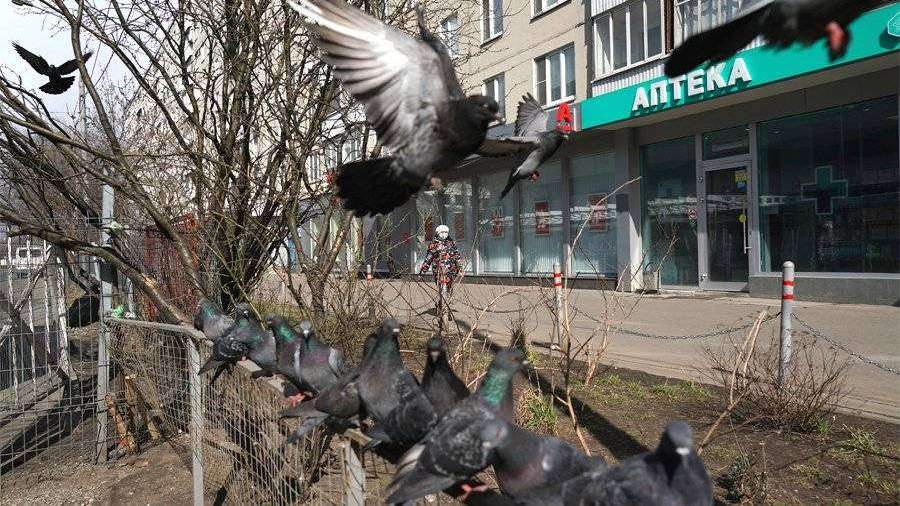 ВШЭ предупредила о рисках распространения COVID-19 животными и птицами