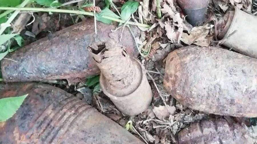 Взрывотехники на Кубани уничтожили 17 боеприпасов времен войны
