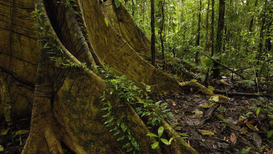 Ученый назвал вероятную причину следующей пандемии
